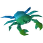 Rainbow crab (2)