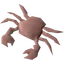 Raw red crab meat