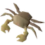 Raw rainbow crab meat