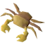 Rainbow crab meat