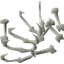 Strykewyrm bones