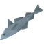 Raw haddock
