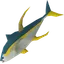 Raw yellowfin
