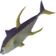 Yellowfin