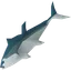 Raw bluefin