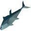 Bluefin