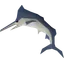 Raw marlin