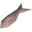 Sardine
