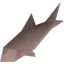 Trout