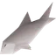 Raw trout