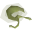 Thin snail
