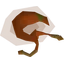 Lean snail meat