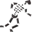 Fiyr remains