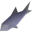 Raw cod