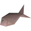 Herring