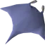 Raw manta ray