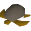 Sea turtle