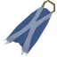 Team-22 cape