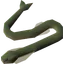 Raw cave eel