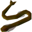 Cave eel