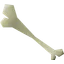 Bone club