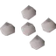 Whiteberry seed