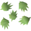 Cactus seed