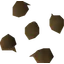 Apple tree seed