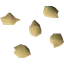 Orange tree seed