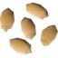 Palm tree seed