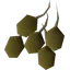 Potato seed