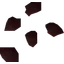 Watermelon seed