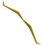 Oak longbow (u)