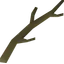 Willow branch
