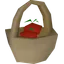 Tomatoes(5)