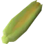Sweetcorn