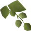Hammerstone hops