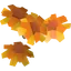 Marigolds