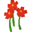 Nasturtiums