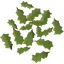 Oak leaves
