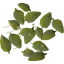 Magic leaves