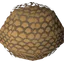 Gnomeball