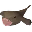 Monkfish