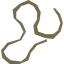 Sinew