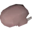 Raw bird meat